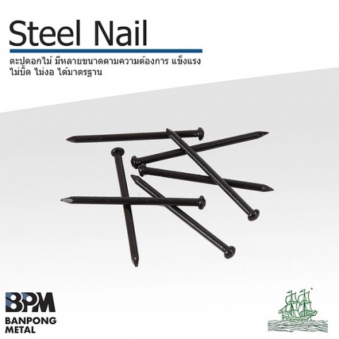 ตะปูตอกไม้ (Steel Nail)